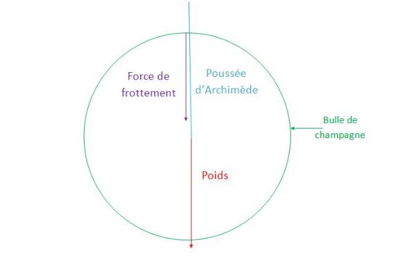 Site fr bilan des forces
